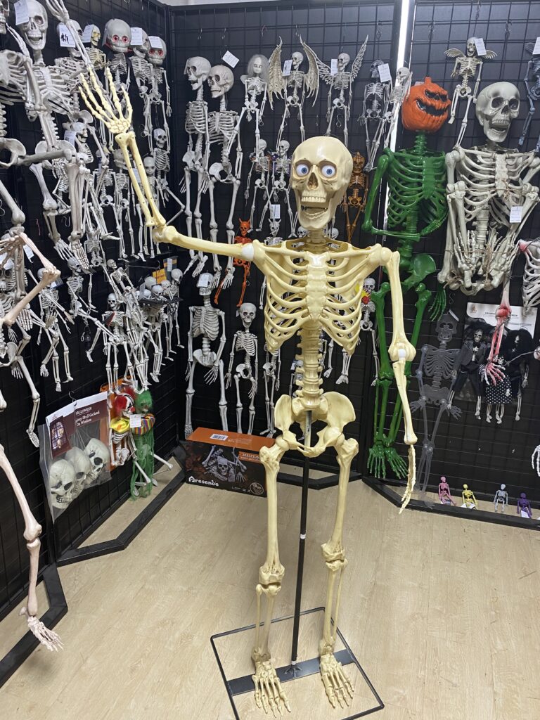 halloween decorations skeletons