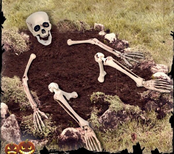 Lifesize Ground Breaking Skeleton - Image 3