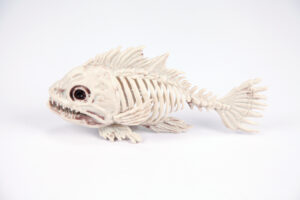 Skeleton Fish Halloween Decoration